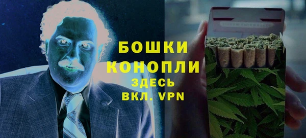 кокс Ельня