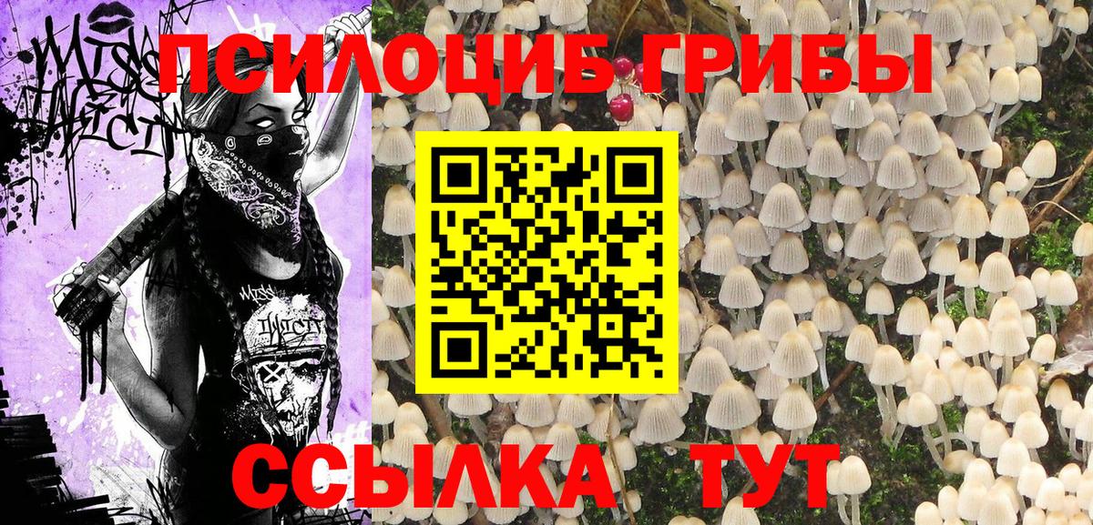 Псилоцибиновые грибы прущие грибы  Вход с VPN  Губкинский  Галлюциногенные грибы GOLDEN TEACHER 