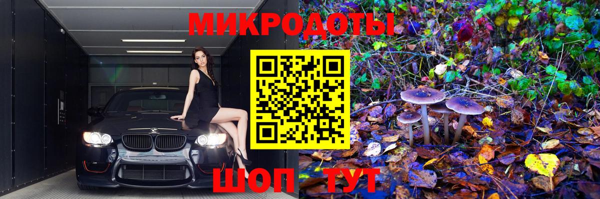 Галлюциногенные грибы Cubensis Губкинский