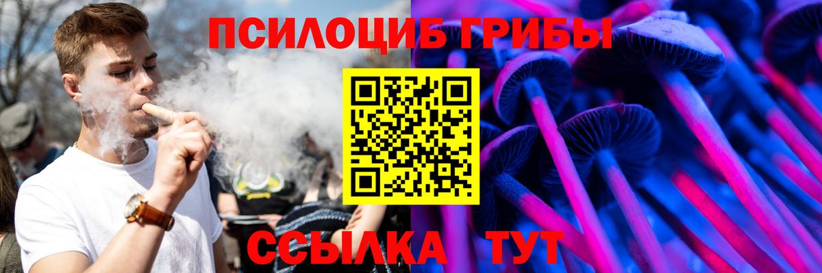 Псилоцибиновые грибы мухоморы  Губкинский 